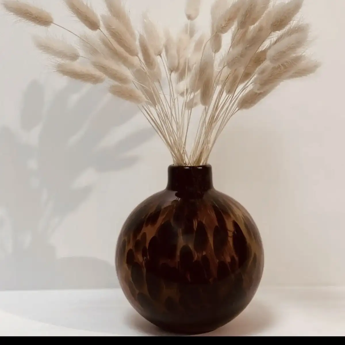 vase leo